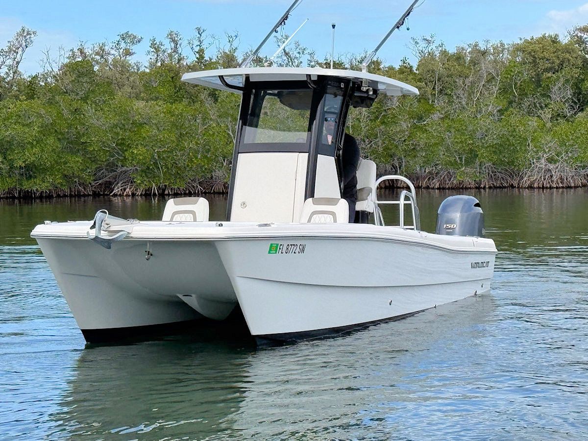 White catamaran boat on calm water with fishing rods, mangroves in the background.