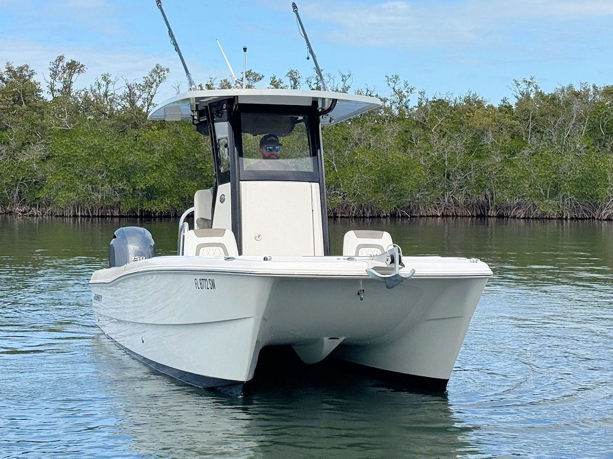 White catamaran boat on water with a green, leafy background.
