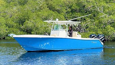 Blue motorboat on water near mangroves. A person is visible on the boat.