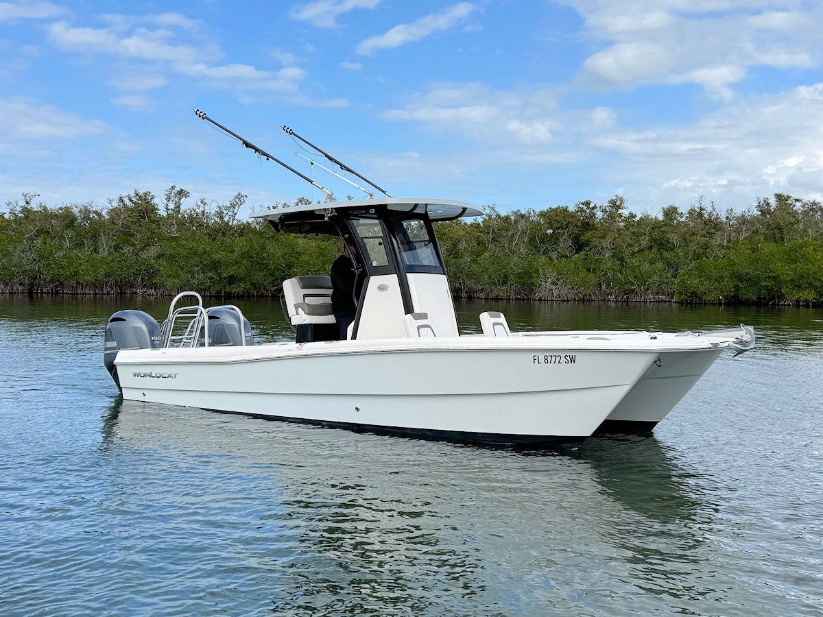 White catamaran boat in water with fishing rods, near green foliage, under blue sky.