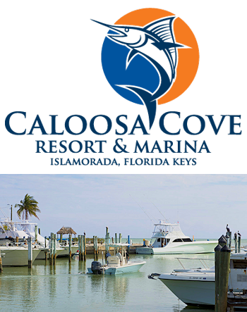 Caloosa Cove Marina - Islamorada, FL