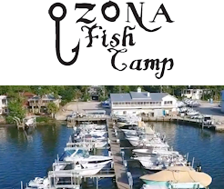 Ozona Fish Camp - Palm Harbor, FL