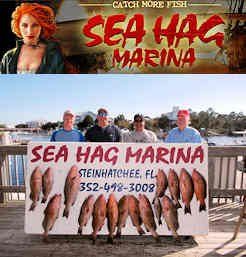 Sea Hag Marina and the Shacks at Sea Hag - Steinhatchee, FL