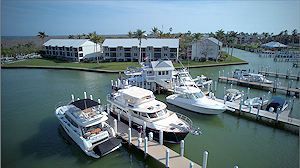 A group of boats are docked at a marina.