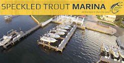 Speckled Trout Marina - Palm Harbor, FL