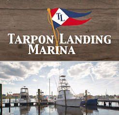 Landings of Tarpon Springs - Tarpon Springs, FL