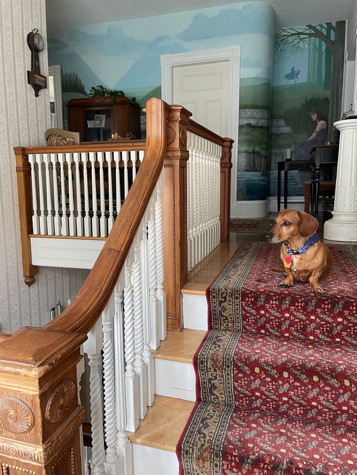The Guilford Bed & Breakfast Upper Stairs with Peanut