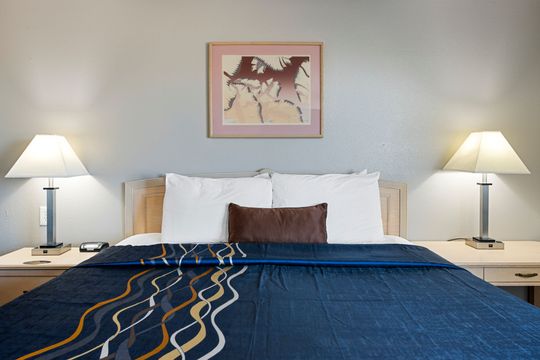 Bedroom with bed, lamps, and artwork; blue comforter, white pillows, neutral walls.