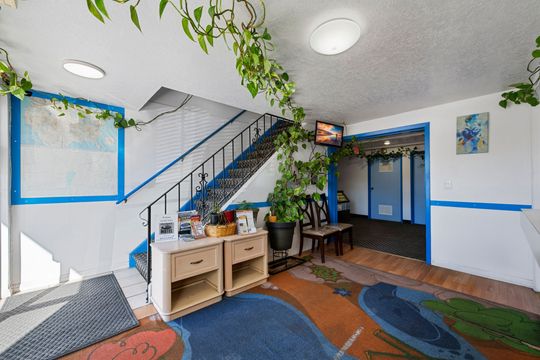 Lobby with stairs, wooden cabinets, plants, and colorful floor art. A small TV hangs overhead.