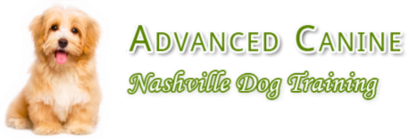 Advanced Canine logo