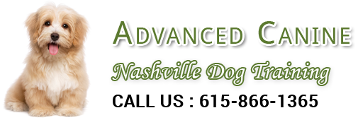Advanced Canine logo