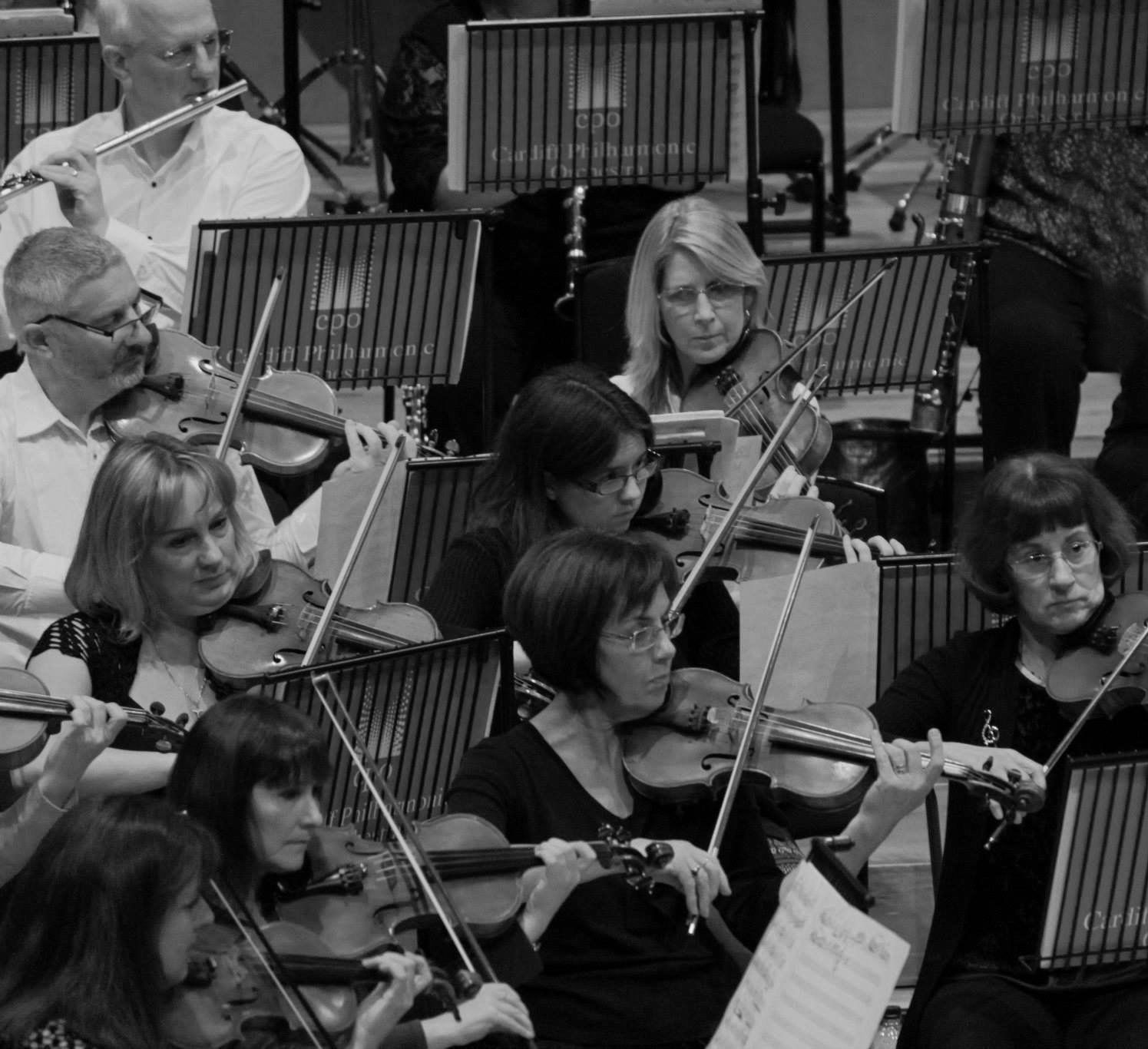 Second violin section in concert