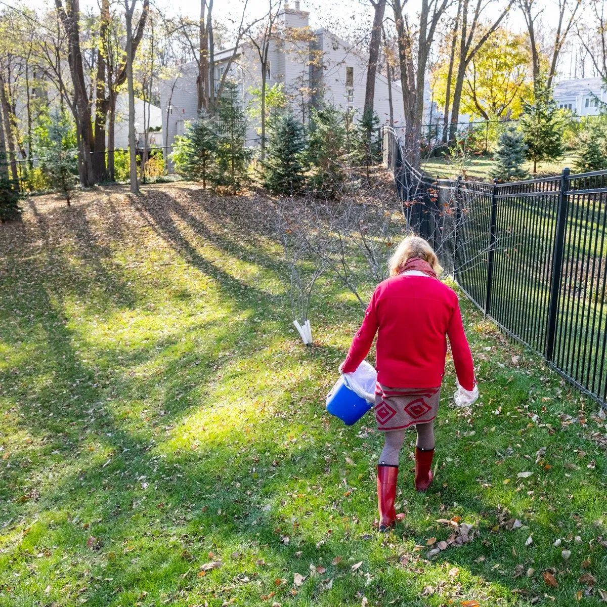 Child in red jacket and boots carries a blue bucket through a grassy yard toward a black fence, autumn setting.