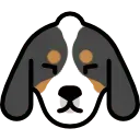 Dog head, black, brown and white markings, closed eyes.