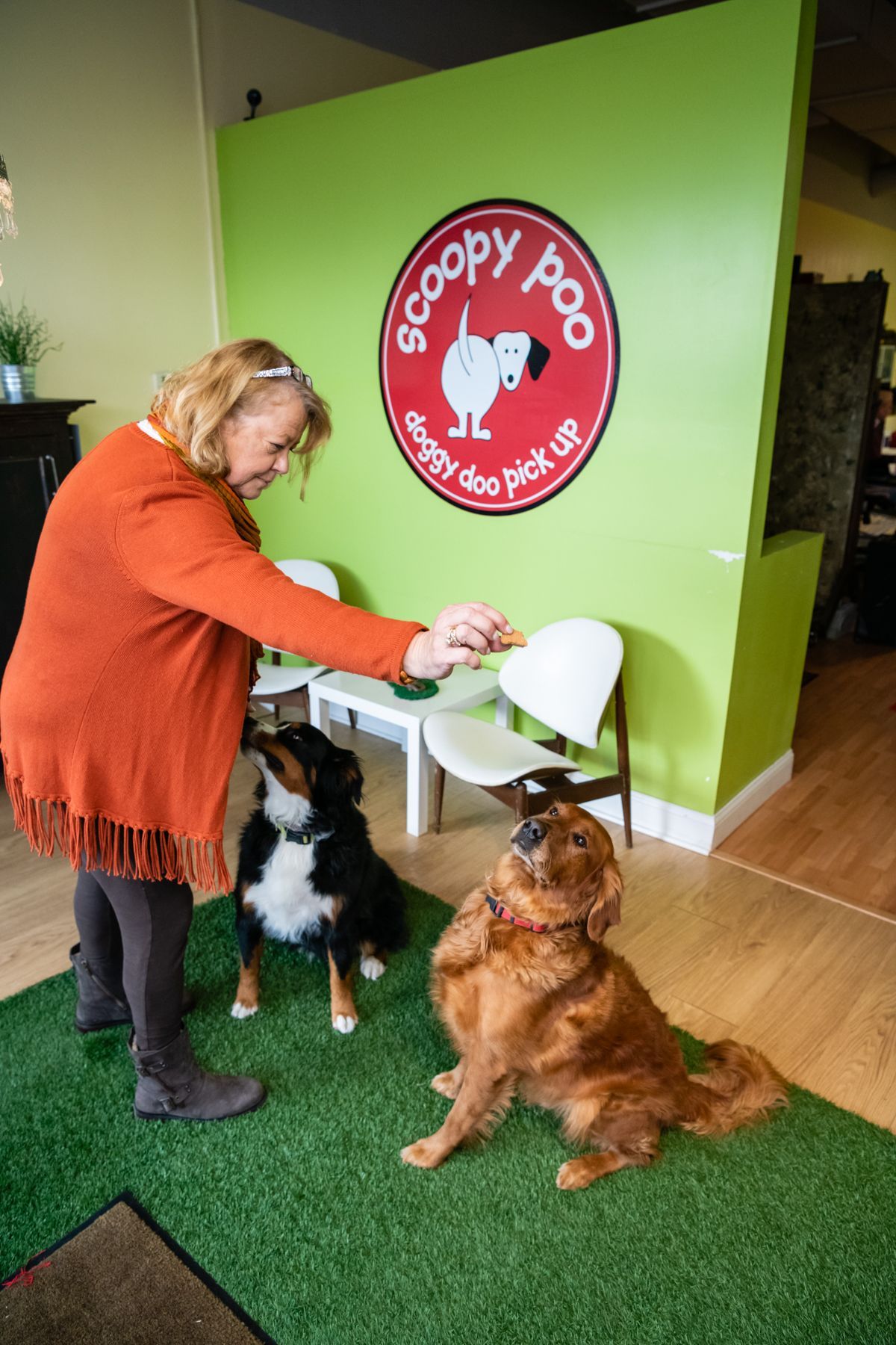 Woman feeding treats to two dogs inside 