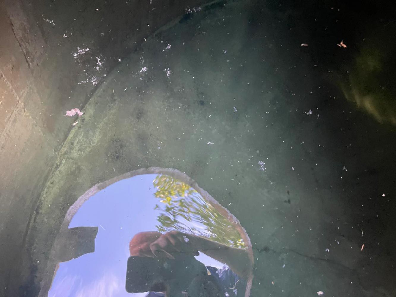 Taking a Photo of a Dirty Water Tank — CQ Water Tank Cleaning in Berserker, QLD