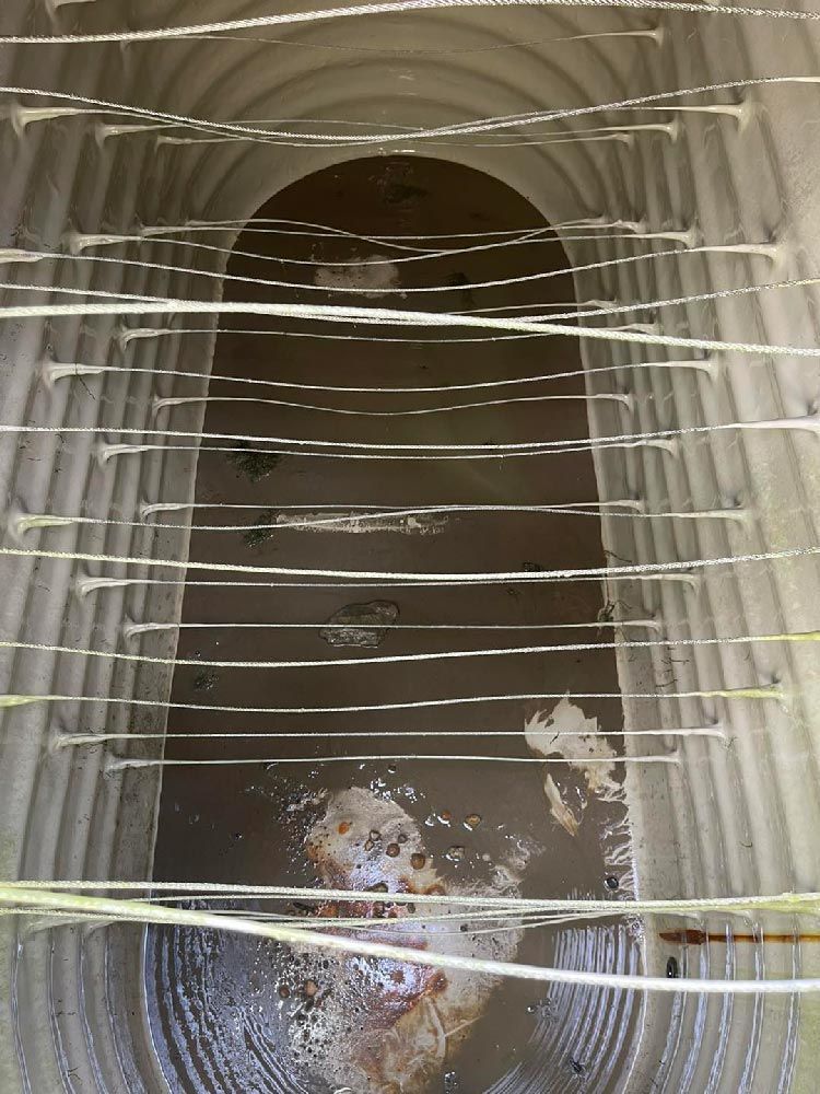 Professional Help for Water Tank Cleaning Service — CQ Water Tank Cleaning in Berserker, QLD