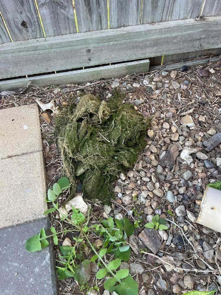 Dirt Removed from a Water Tank — CQ Water Tank Cleaning in Berserker, QLD