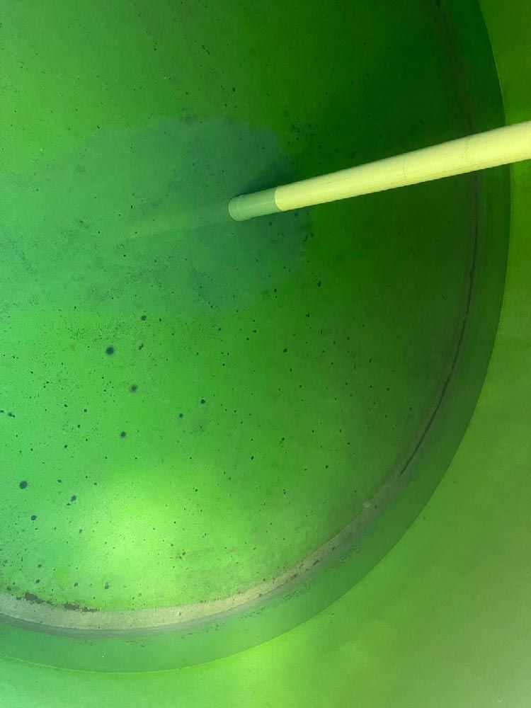 Water Tank Professional Service — CQ Water Tank Cleaning in Berserker, QLD