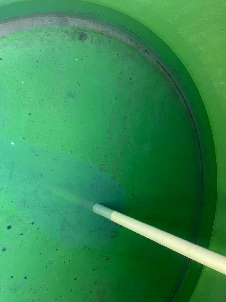 Cleaning of a Water Tank — CQ Water Tank Cleaning in Berserker, QLD