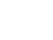 LNMS white logo