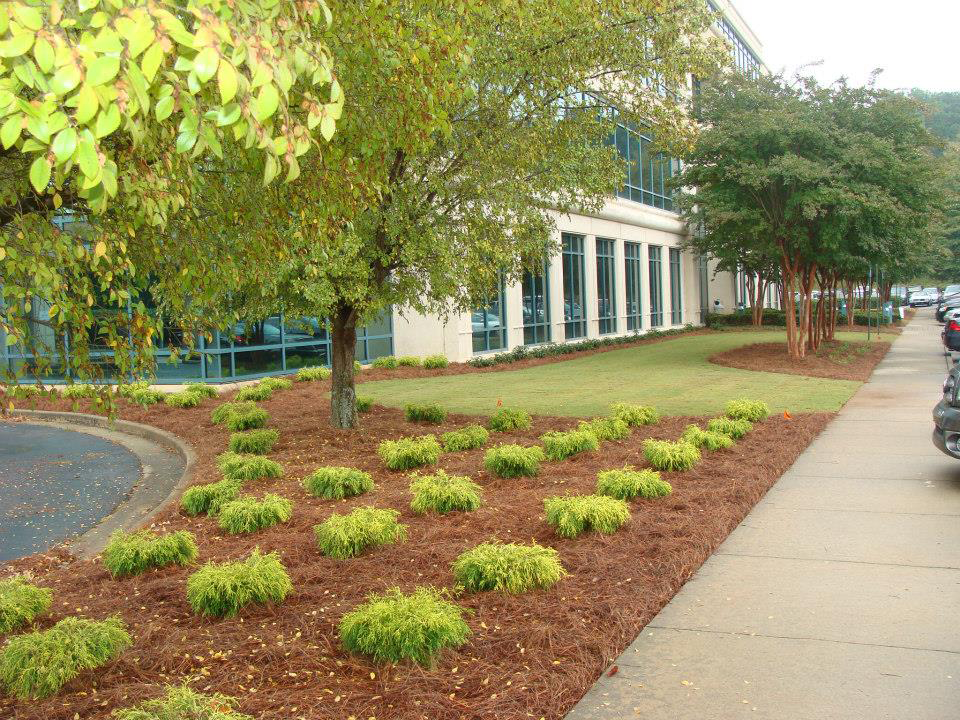 A man is kneeling in front of a truck that says jp on the side