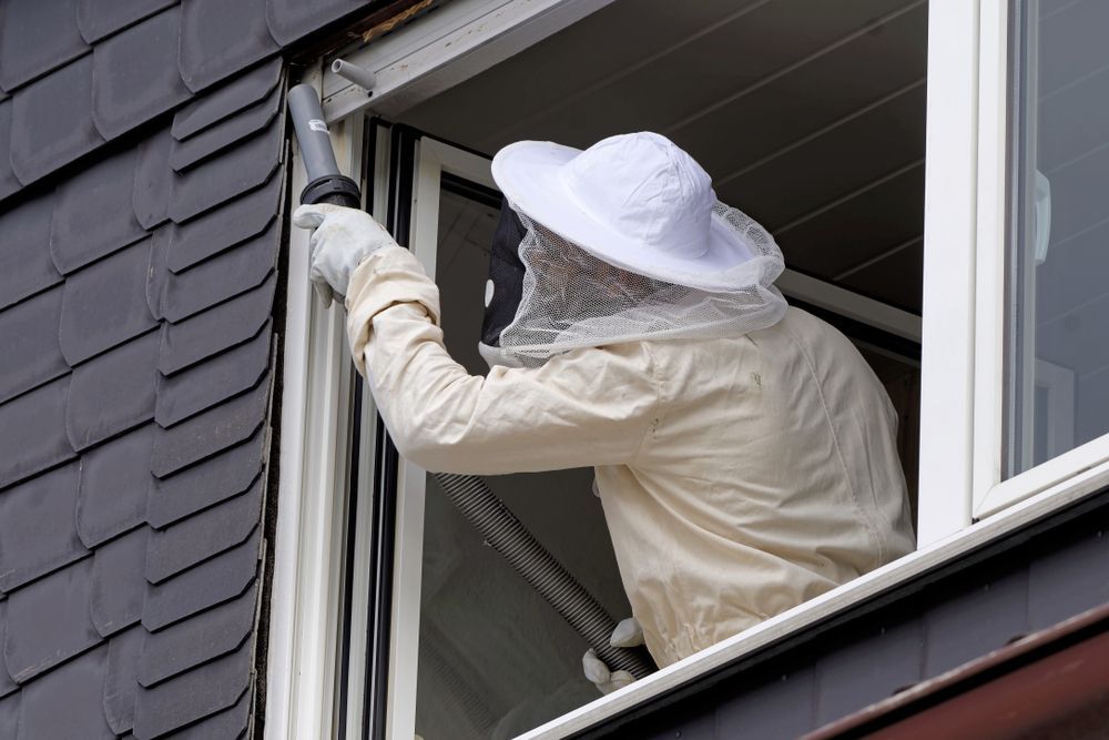 A man in a bee suit is looking out of a window.