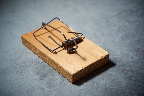 a mouse trap is sitting on a piece of wood