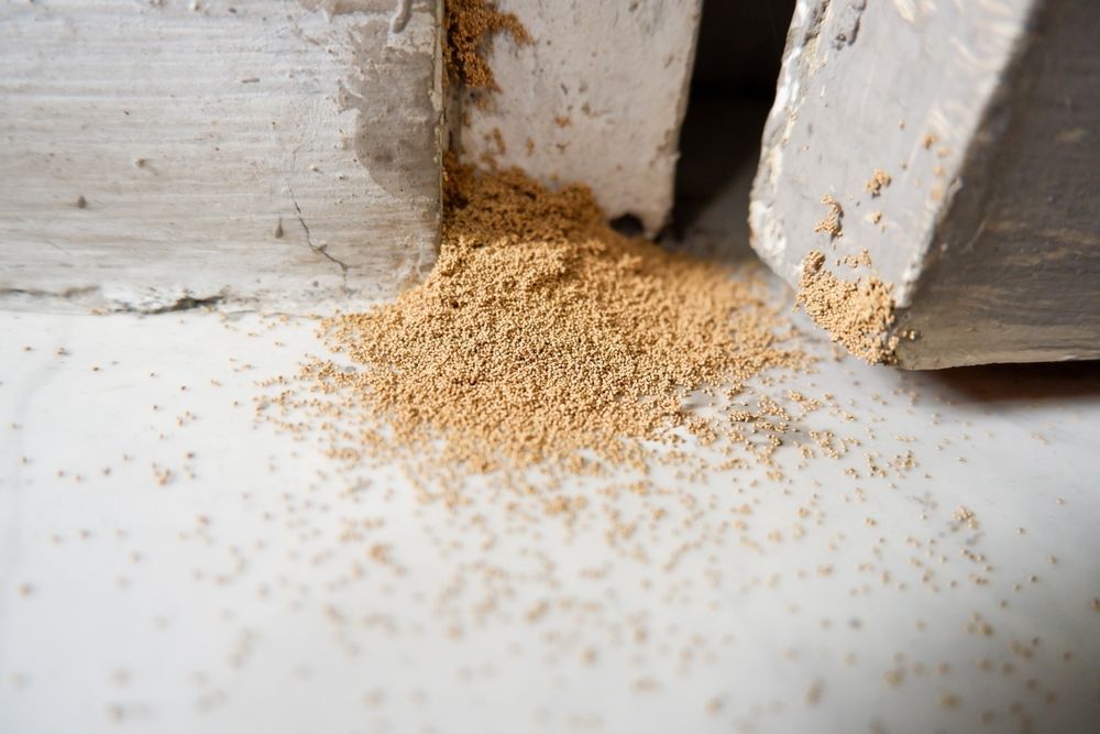 A pile of termites ' droppings on a white surface.