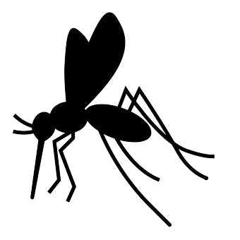 a black and white silhouette of a mosquito on a white background