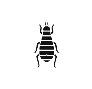 a black and white silhouette of a flea on a white background