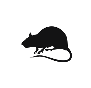 a black silhouette of a rodent on a white background