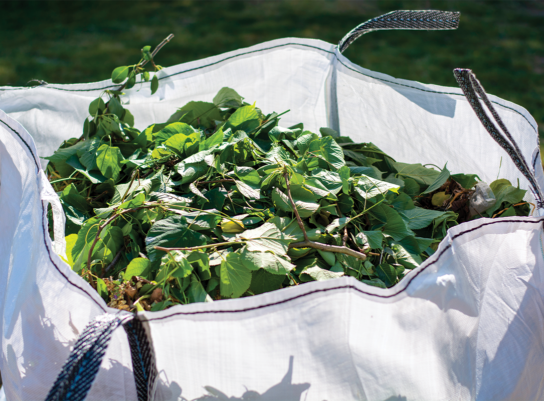 White bag filled with green leaves and twigs, outdoors.