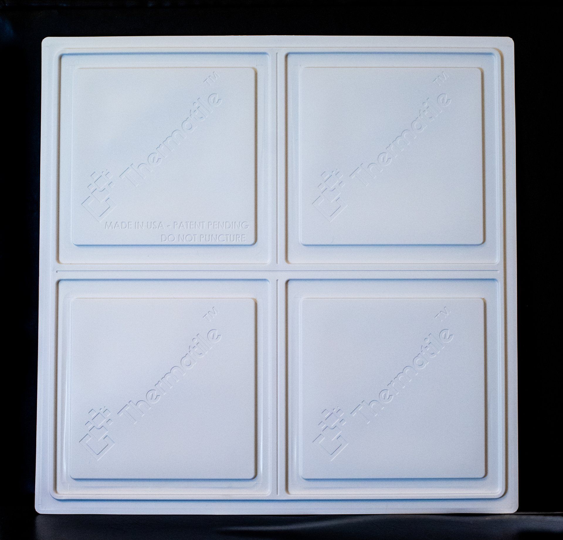 A white tray with four squares on it is sitting on a table.