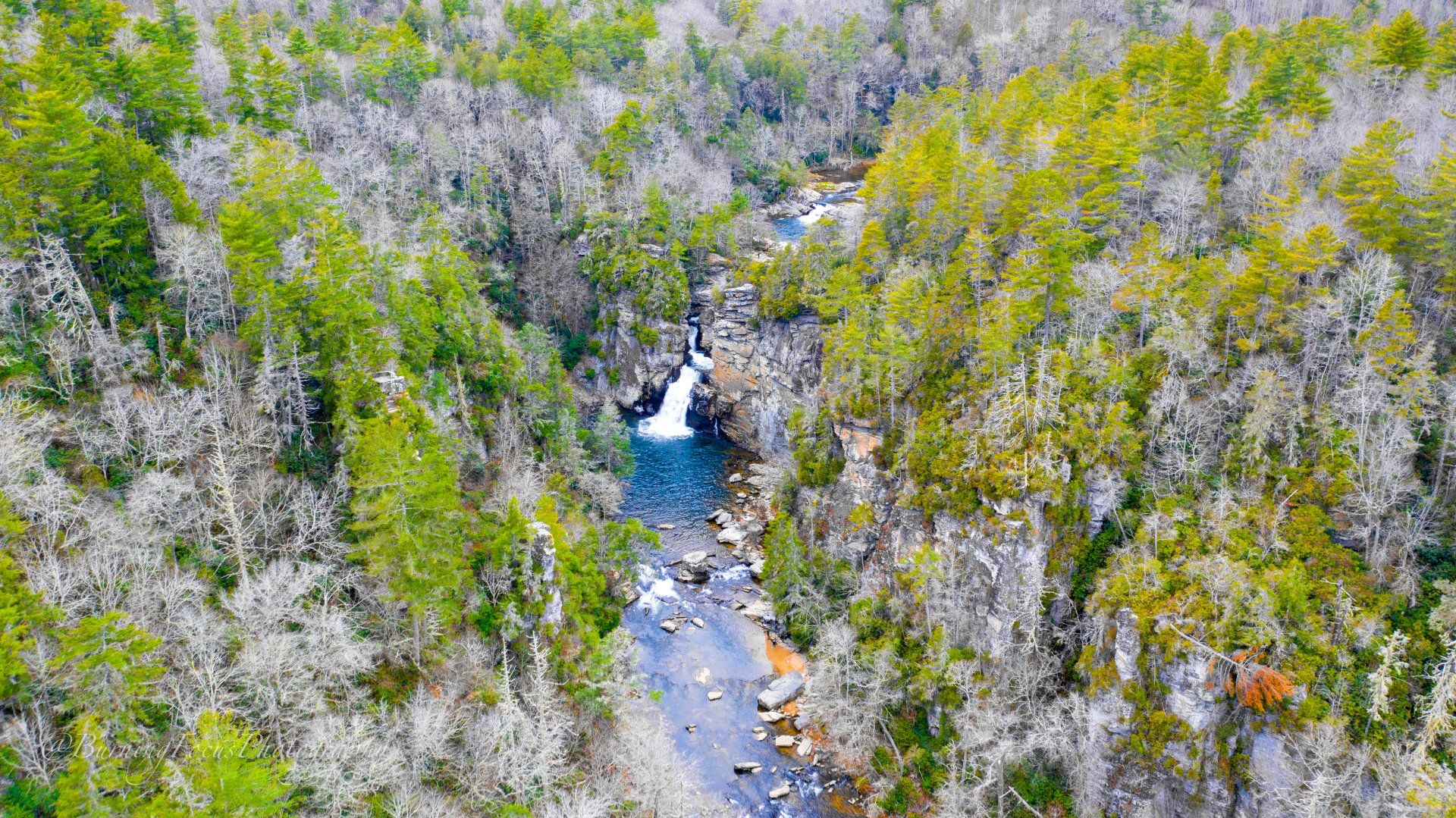 An aerial view of a river running through a lush green forest.