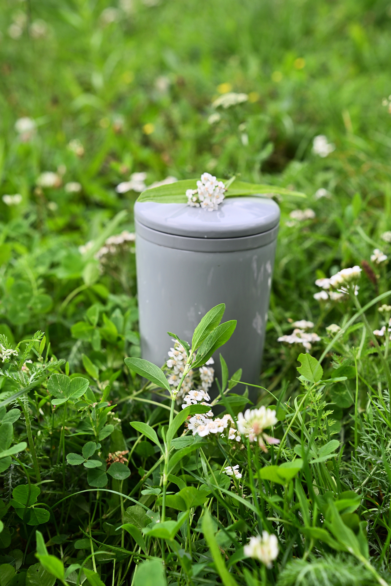Gray urn with a leaf and small white flowers, set in a grassy field.