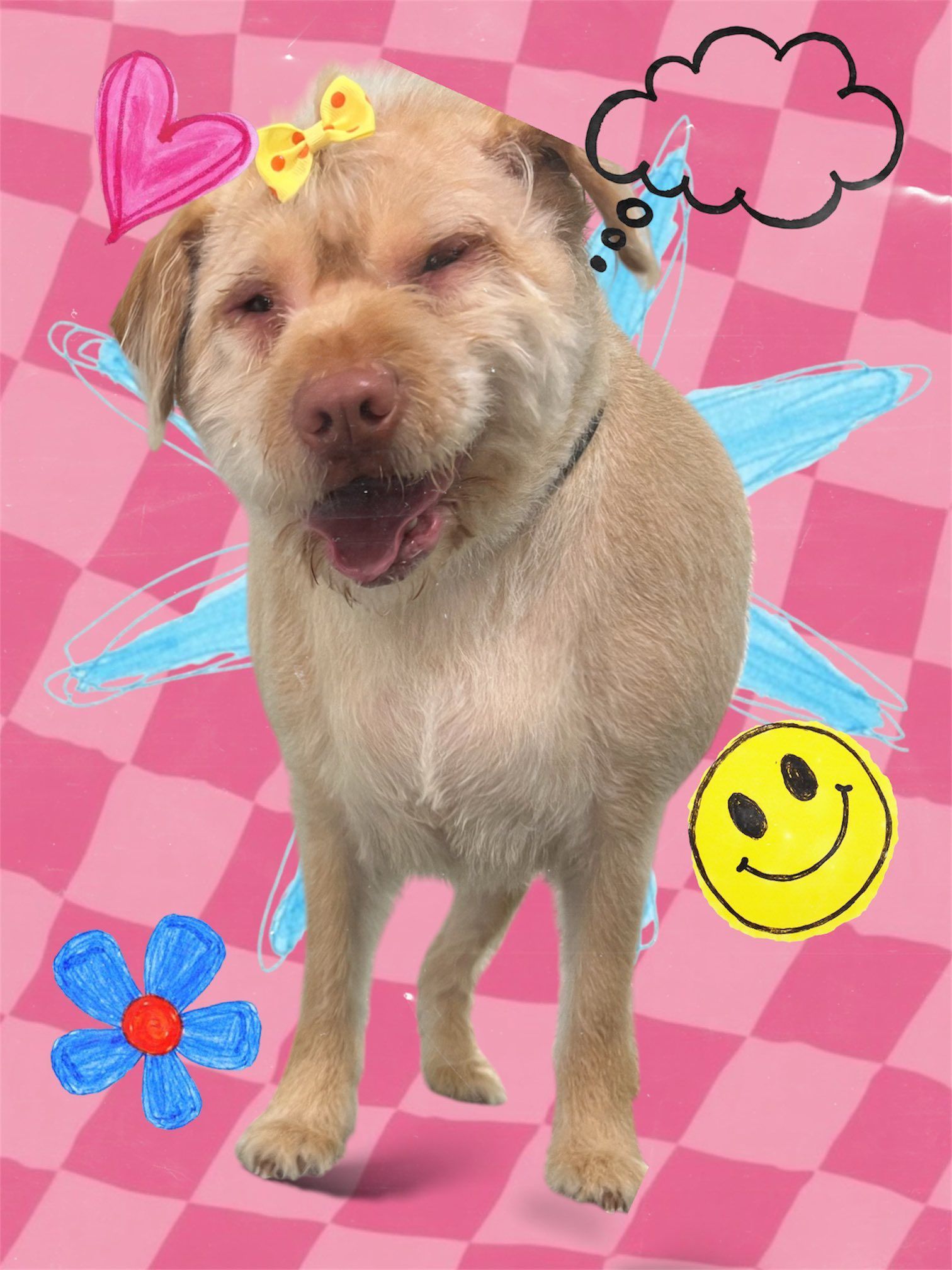 Happy tan puppy on a pink doodle background with hearts, clouds, and a smiley face.