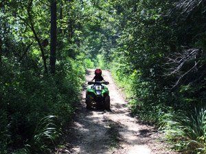 Off Road Trails - Smurfwood Trails