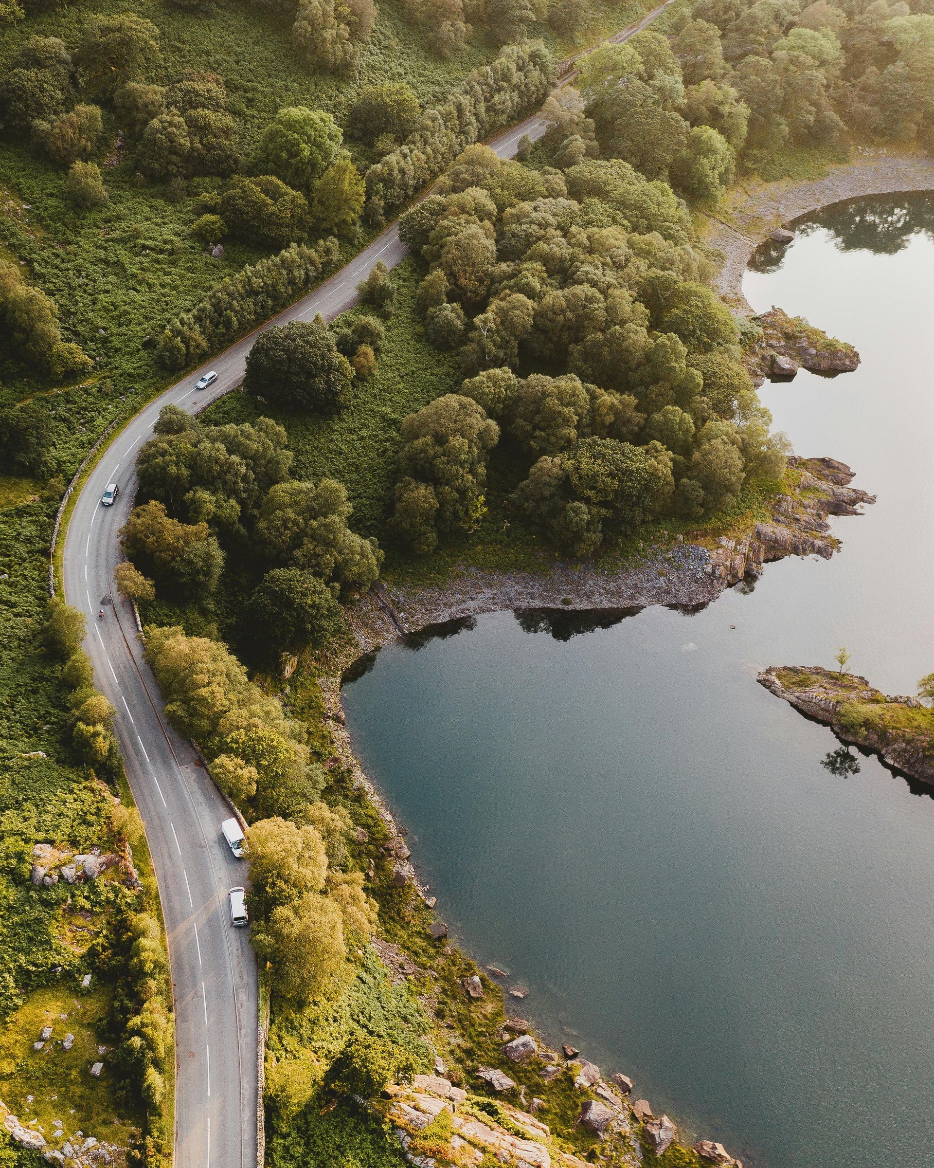 Curving road along a lake, passing through a forest with several cars.