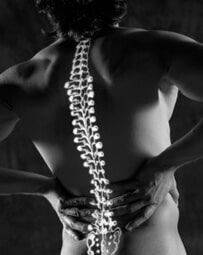 Human Spine - Chiropractic Maintenance in Urbana IL