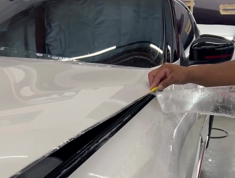 Auto Paint Protection Film Installation