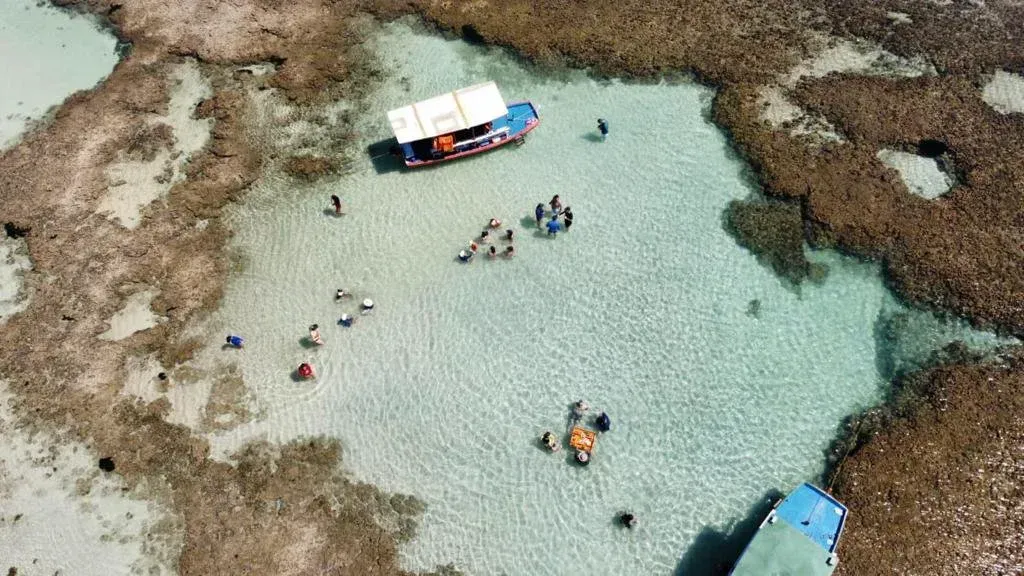 Uma vista aérea de uma praia com um barco na água.