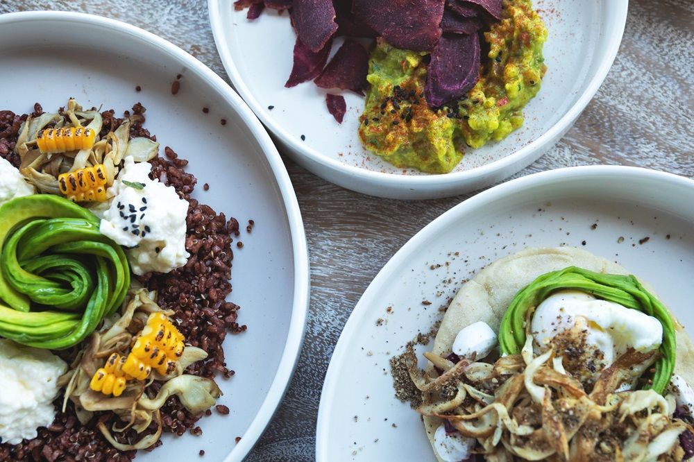 Três pratos vegetarianos, coloridos e bem servidos.