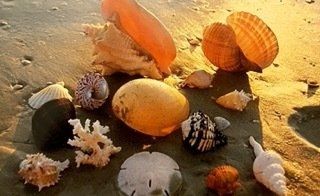 Southeast Florida Beach