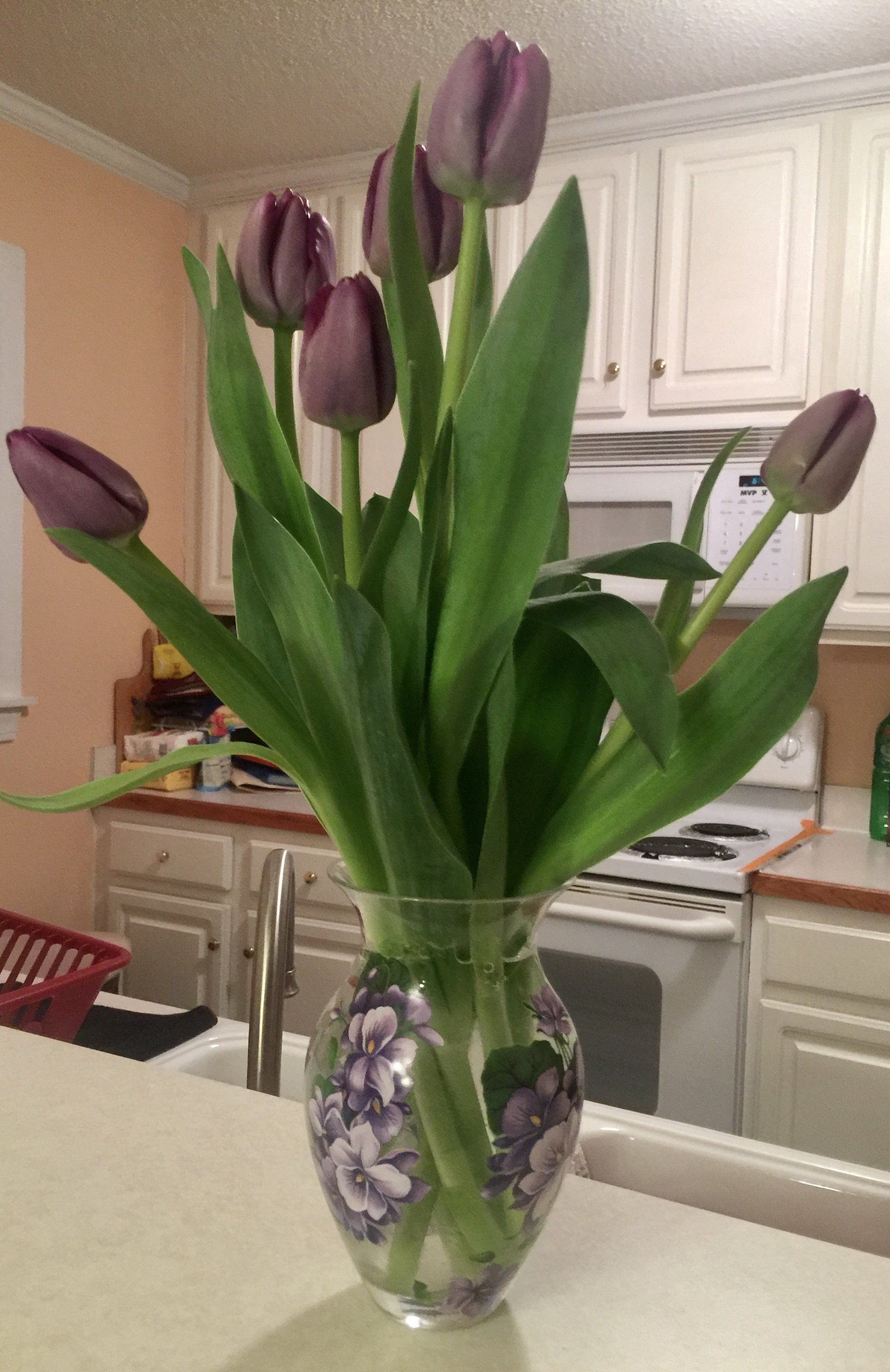 Lillies, House Plant