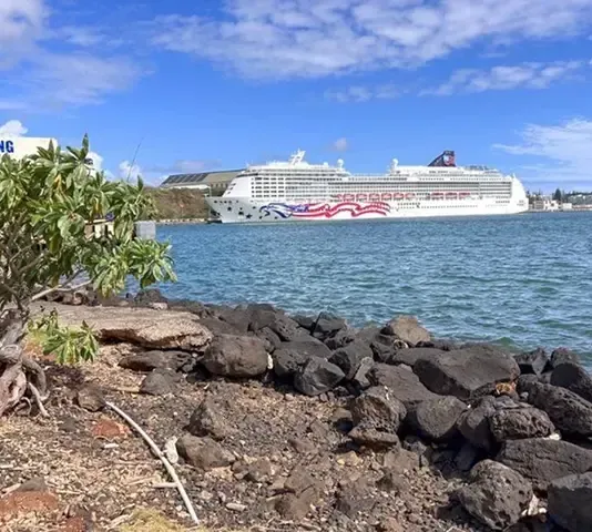 Cruise ship docked near a rocky shore, under a blue sky.