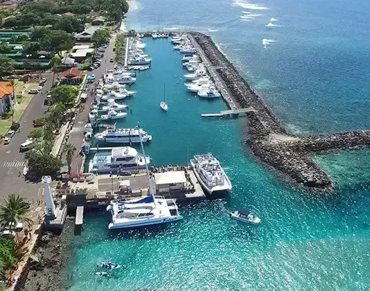 Aerial view of a marina with many boats docked on a sunny day with turquoise water.