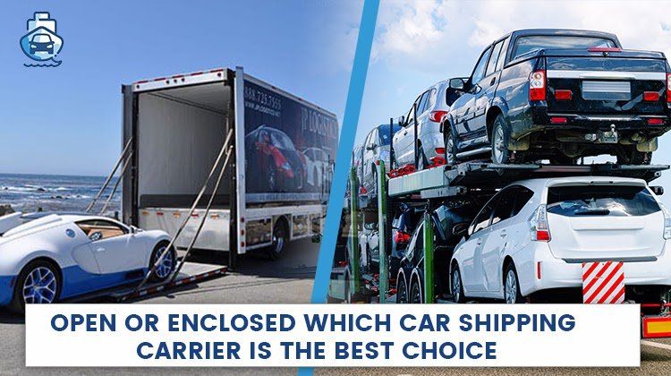 Open or Enclosed car shipping carrier