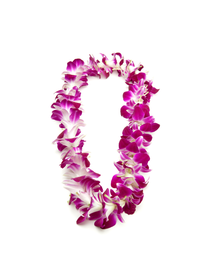 Top Ten Benefits Of Living In Hawaii