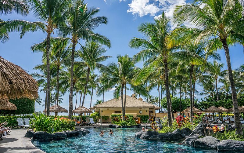 Moving to Hawaii: The Ultimate Guide | Tips for Choosing a Hawaii Moving Company